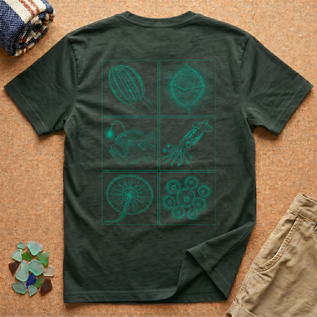 LP0147 - Moss.png
